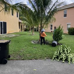 Clusias Perfect For Privacy. All Sites Is Available Starting At Five Dollars.