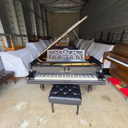 1904 C. Bechstein "C",
Beautiful sound, 
Free delivery & tuning INCLUDED!
(PRICE IS NEGOTIABLE)