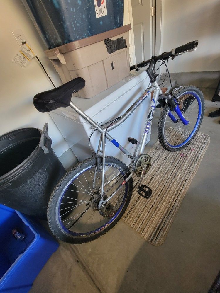 21 Speed Mountain Bike