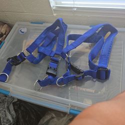 two large dog   callers brand new $20 for both 
