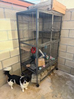 Large Animal Reptile Bunny Cage