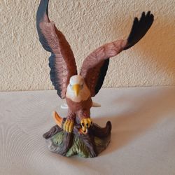 Beautiful Genuine American Bald Eagle