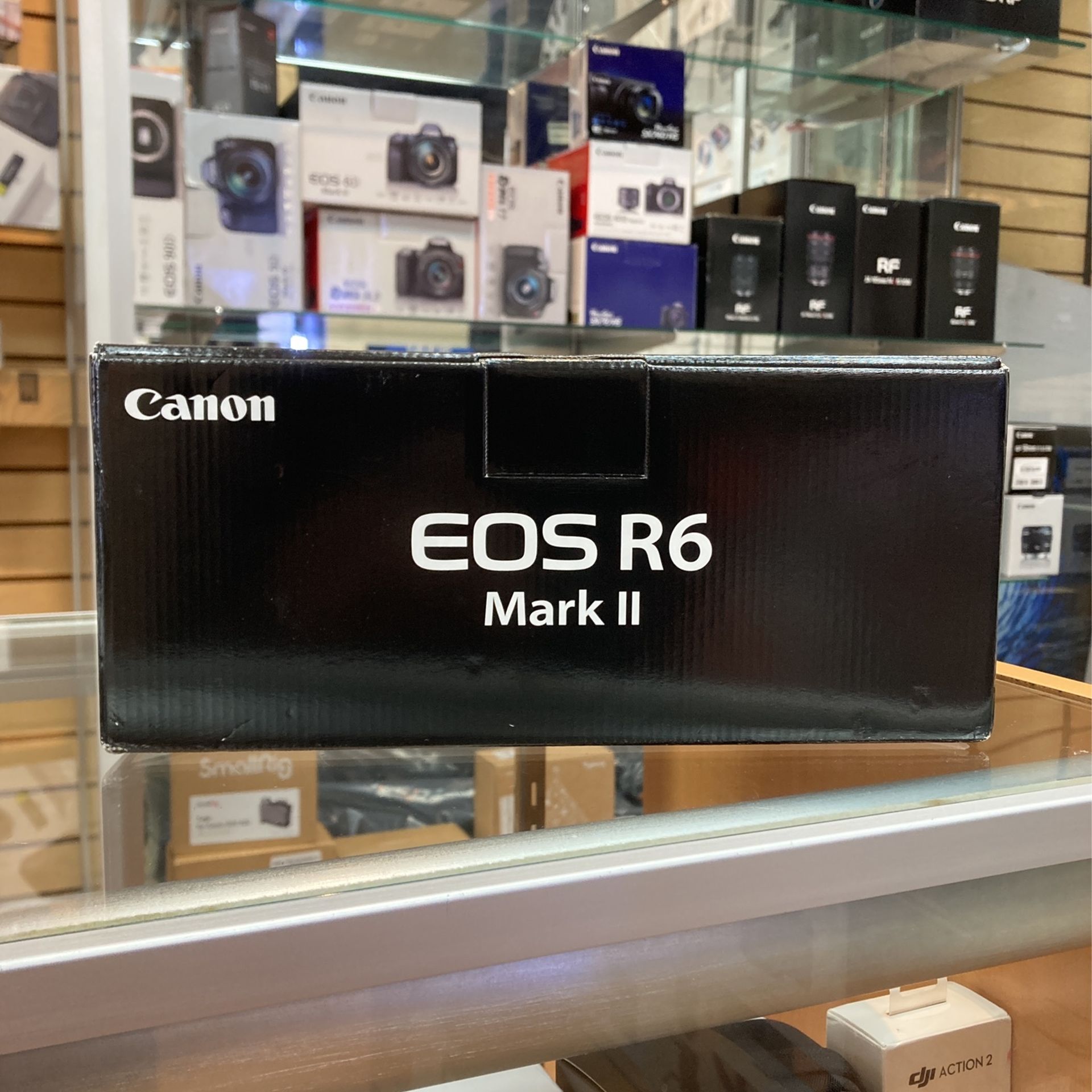 Canon EOS R6 M2 II