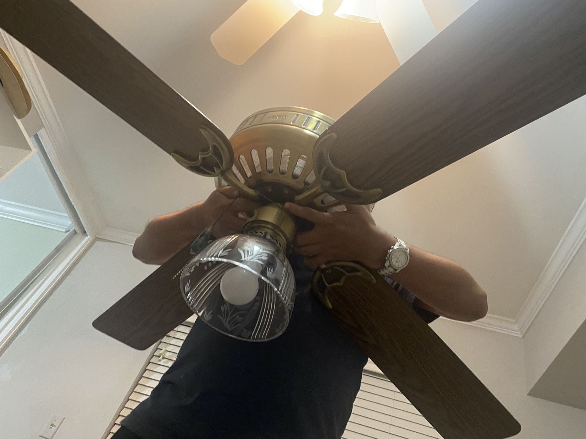 Ceiling fan with light