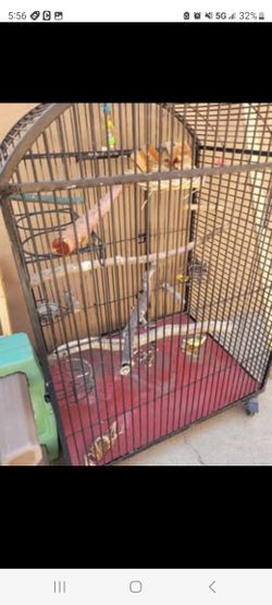 Large Parrot Cage