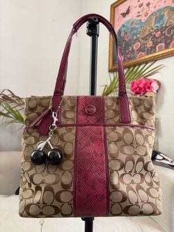 Coach bag