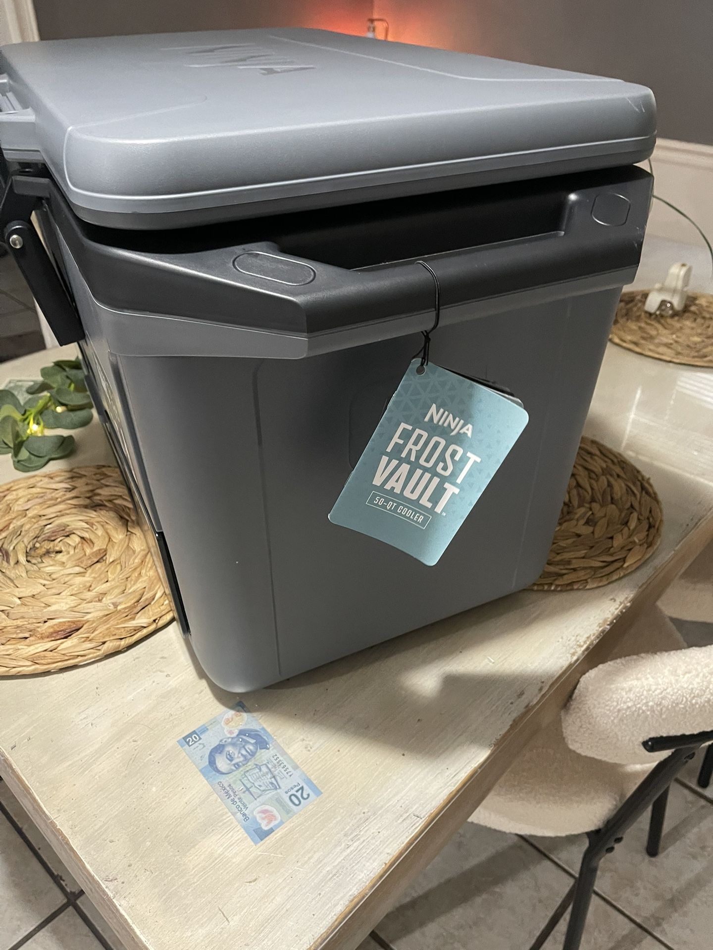 Ninja Frostvault Cooler