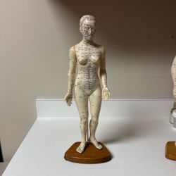 Acupuncture Model Of A Human Body 