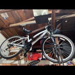 25c Recreation Bicycle