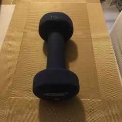 8 Lb Dumbbell (1 Piece )