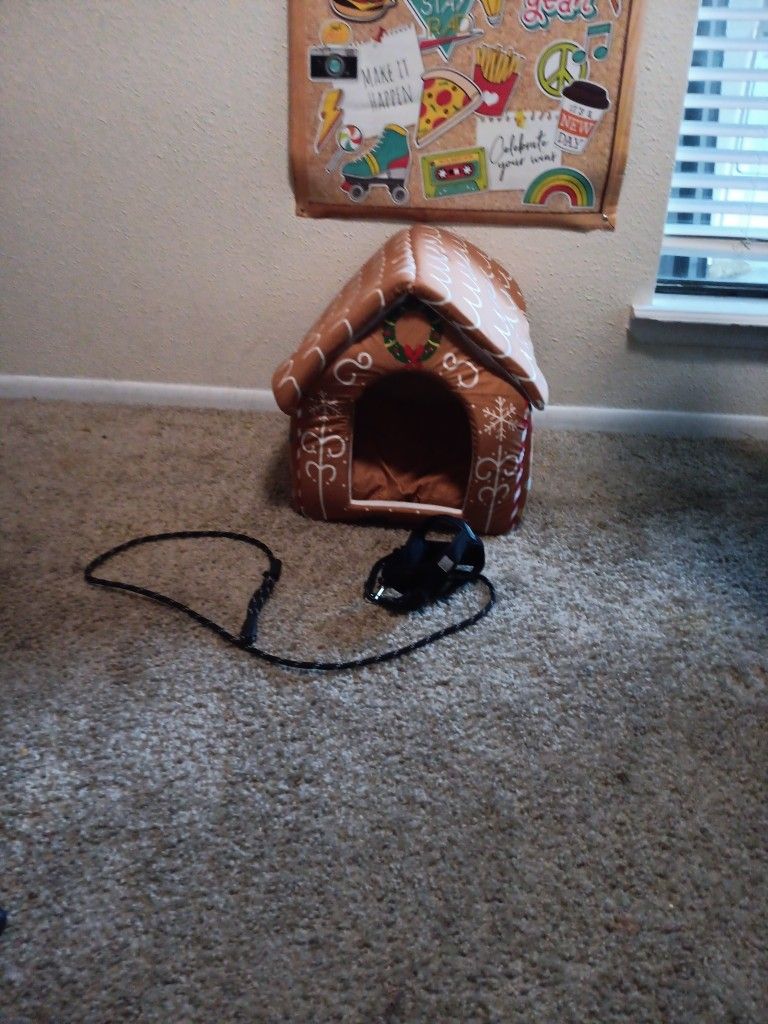 Dog BED, Leash And Harness Bundle