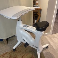 The original FlexiSpot exercise, bike workstation