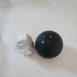 Echo Dot