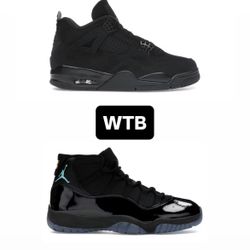 WTB Gamma 11s and Black Cat 4s