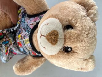 Build a Bear (Bear Wonder)