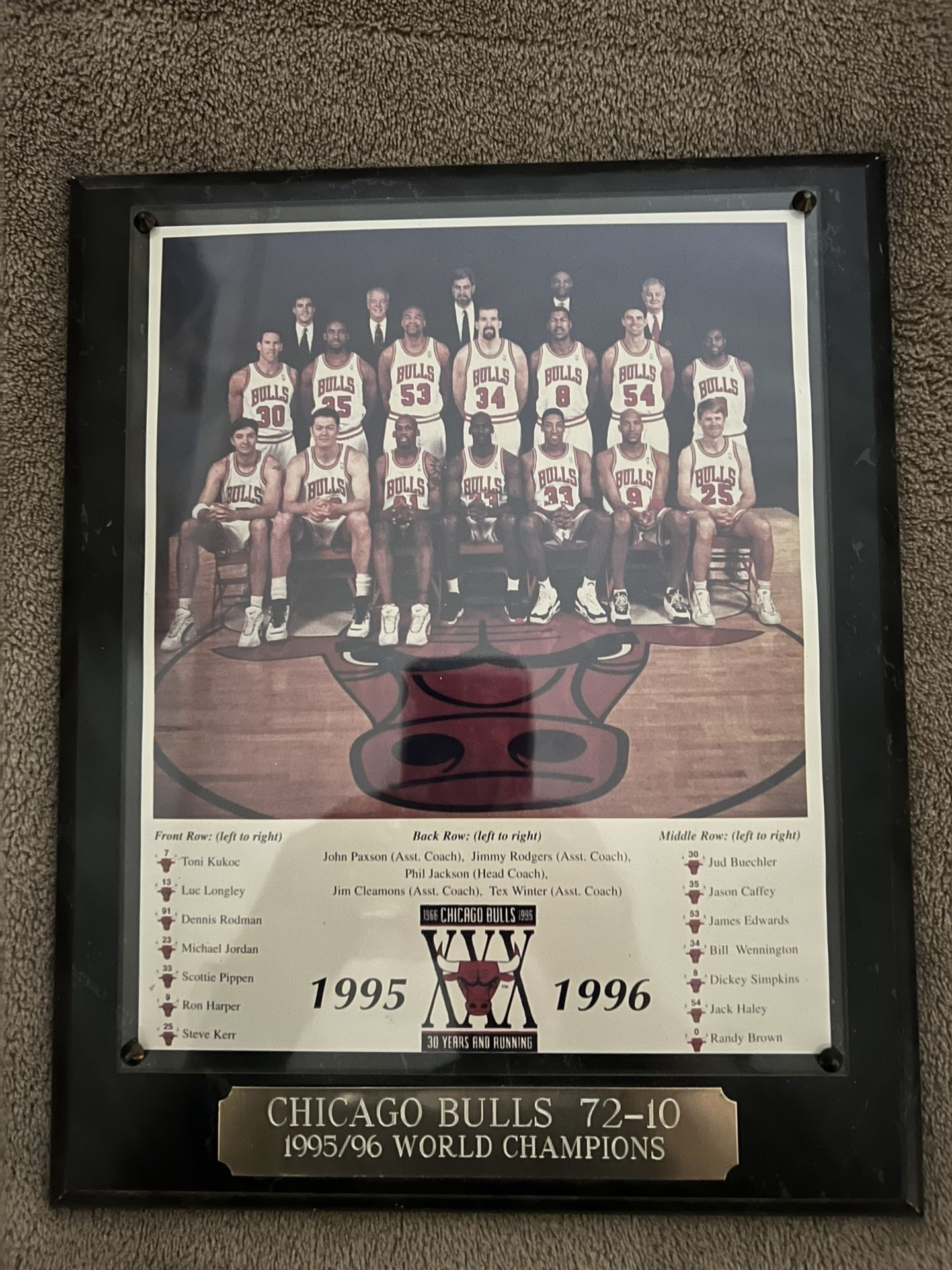 Michael Jordan/ Chicago Bulls 1995-96 Photo Plaque 72 Wins / Champions