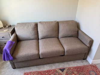 Hide-a-bed Couch