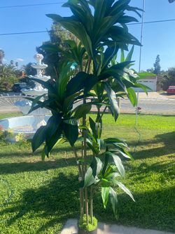 Brand new artificial plant 7 Ft high