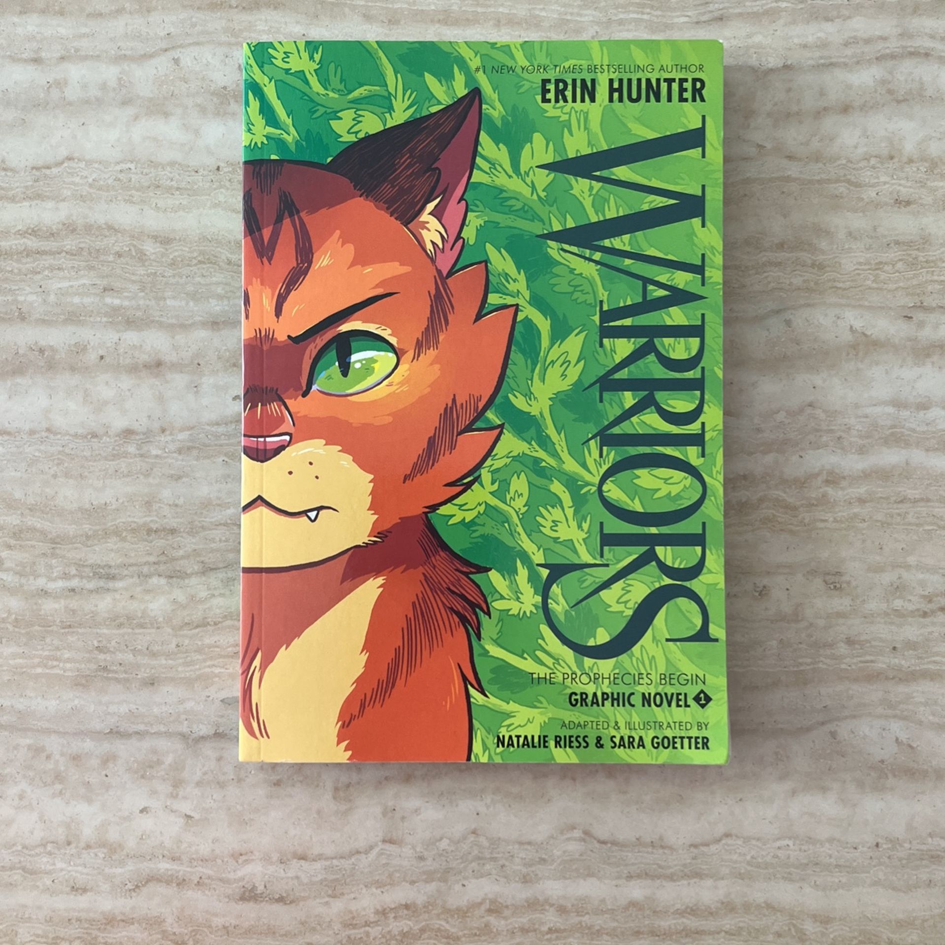 Warriors: The Prophecy Begins 1 Graphic Novel