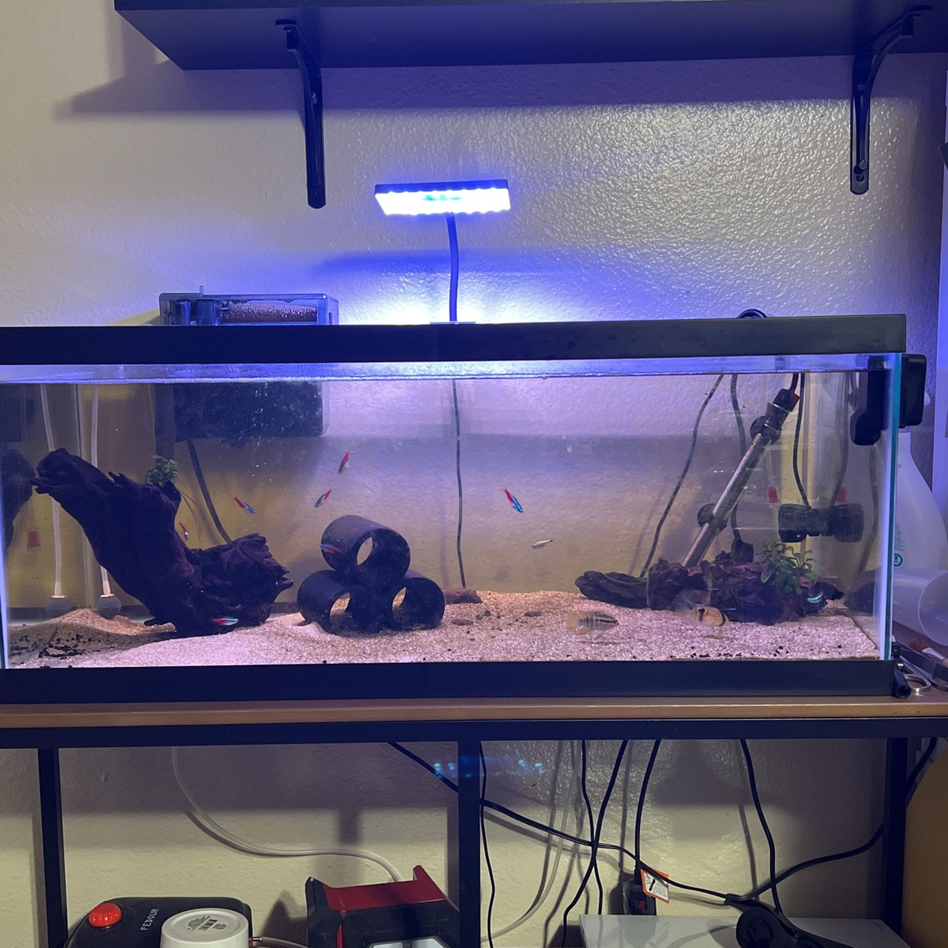 20 Gallon Long With Eos Nano Aquarium Light And Aqua Clear Hang On Back Filter