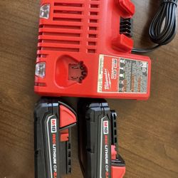 2 Baterías Y Cargador 