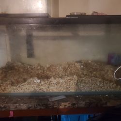 75 Gallon Fish Tank And 10 Gallon Fish Tank