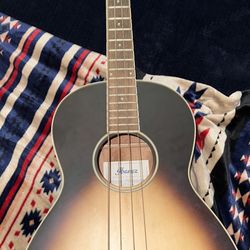 Ibanez Bajoloche 