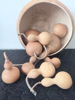 Gourd Craft Bundle - Large Bowl + Assorted Gourds