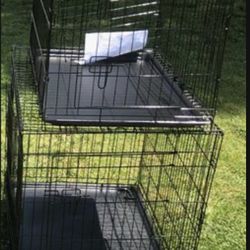Dog Cages