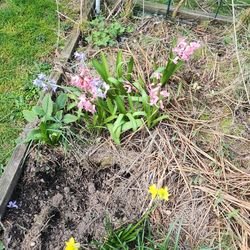 Outdoor plant sale Saturday!!