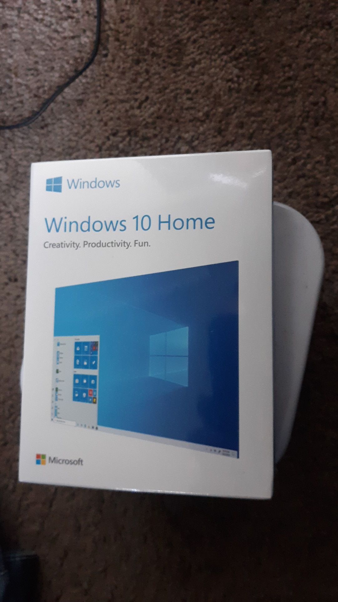 Microsoft Windows 10 home program.