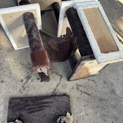 Cat Tower & Accesories 