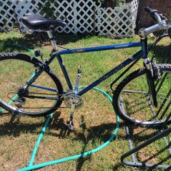 Bianchi Bicycle