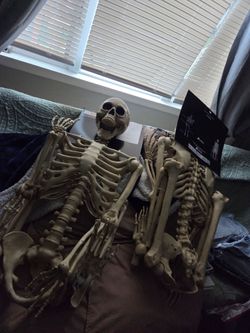 Tei brand new 5 ft skeletons