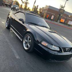 2000 Ford Mustang