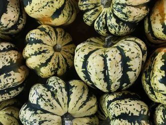 Sweet Dumpling Squash