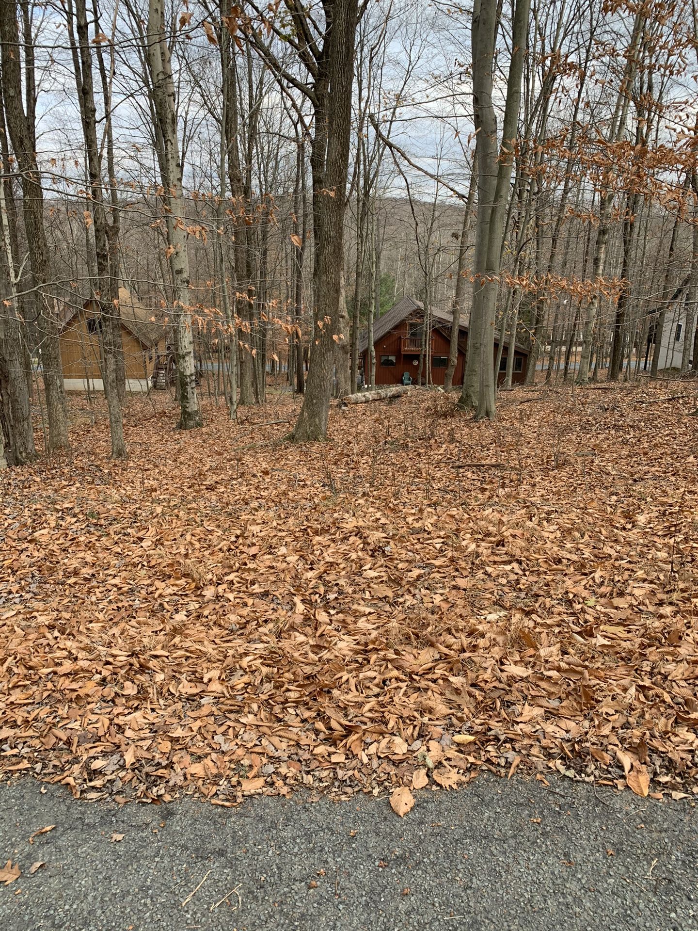 Building lot in Wallenpaupack Lake Estates