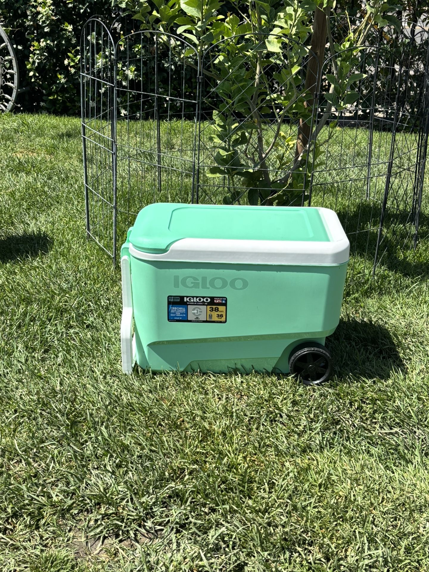 IGLOO,ICE CHEST,COOLER