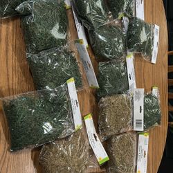 Floral Moss and Terrariums 