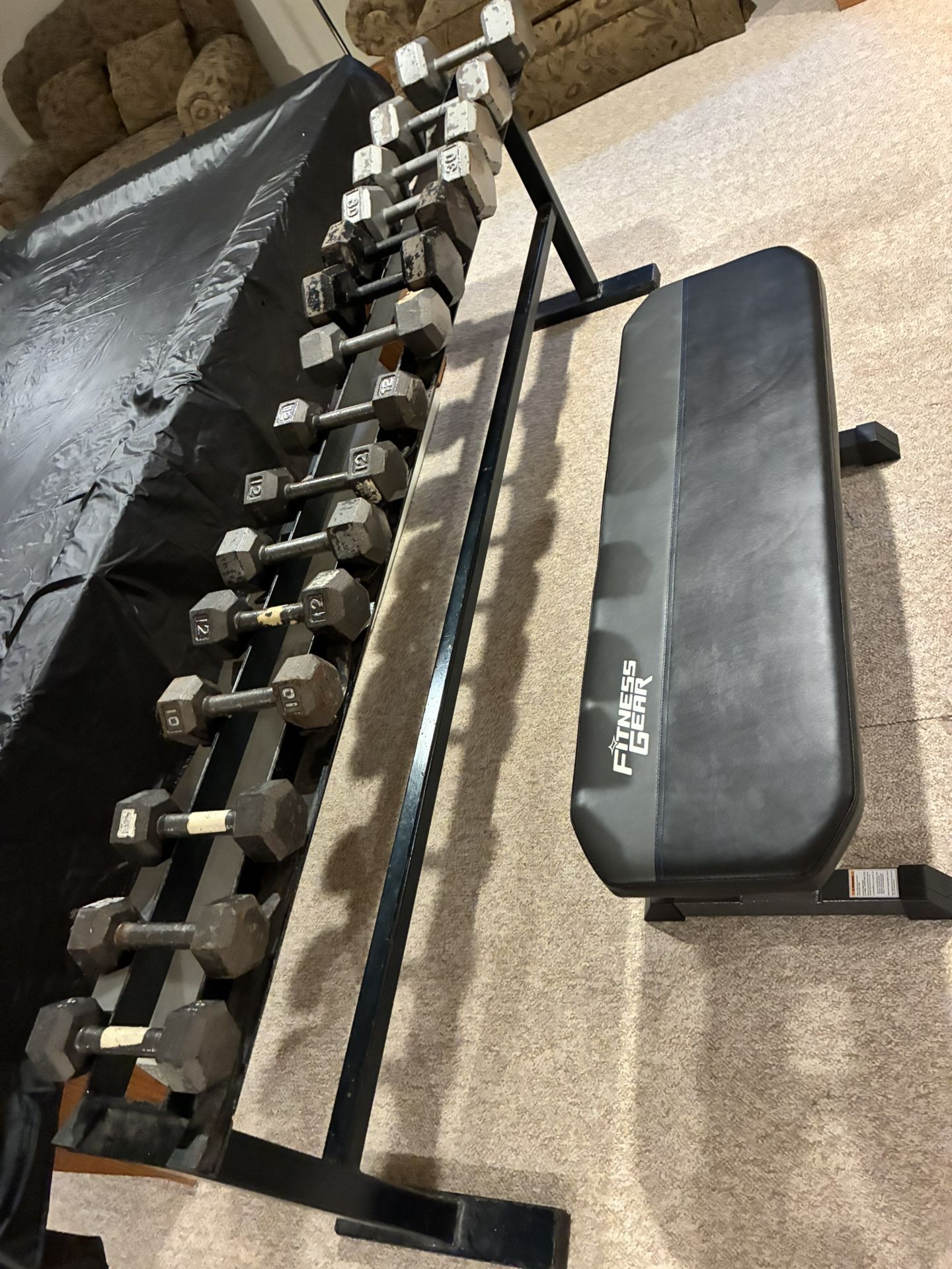Dumbbells and Weight Bench