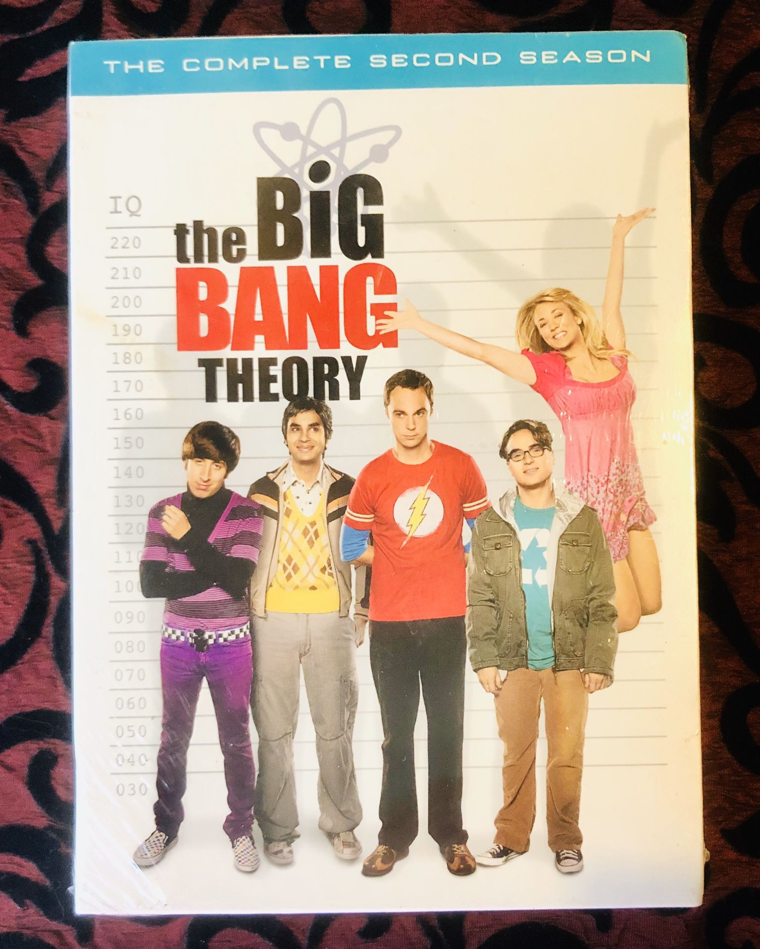 NEW the BiG BANG THEORY TV Series The Complete Second Season Sealed!!