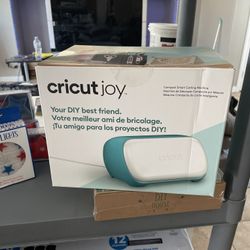 Cricket joy (New In Box)