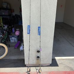 2 New Fishing Poles