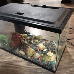 Fish tank with filter