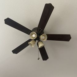 Ceiling Fan & Chandelier