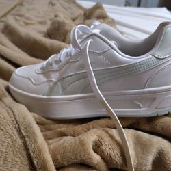 In Box Size 10 Pumas