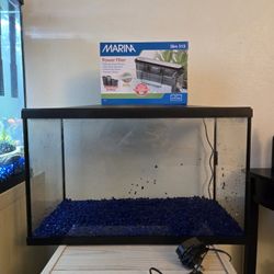 10gal aquarium W/filter and gravel 