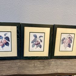 Framed Pictures Of Fruit
