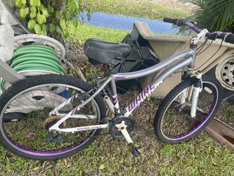 26inch Genesis Bike “Needs Work”. $25 