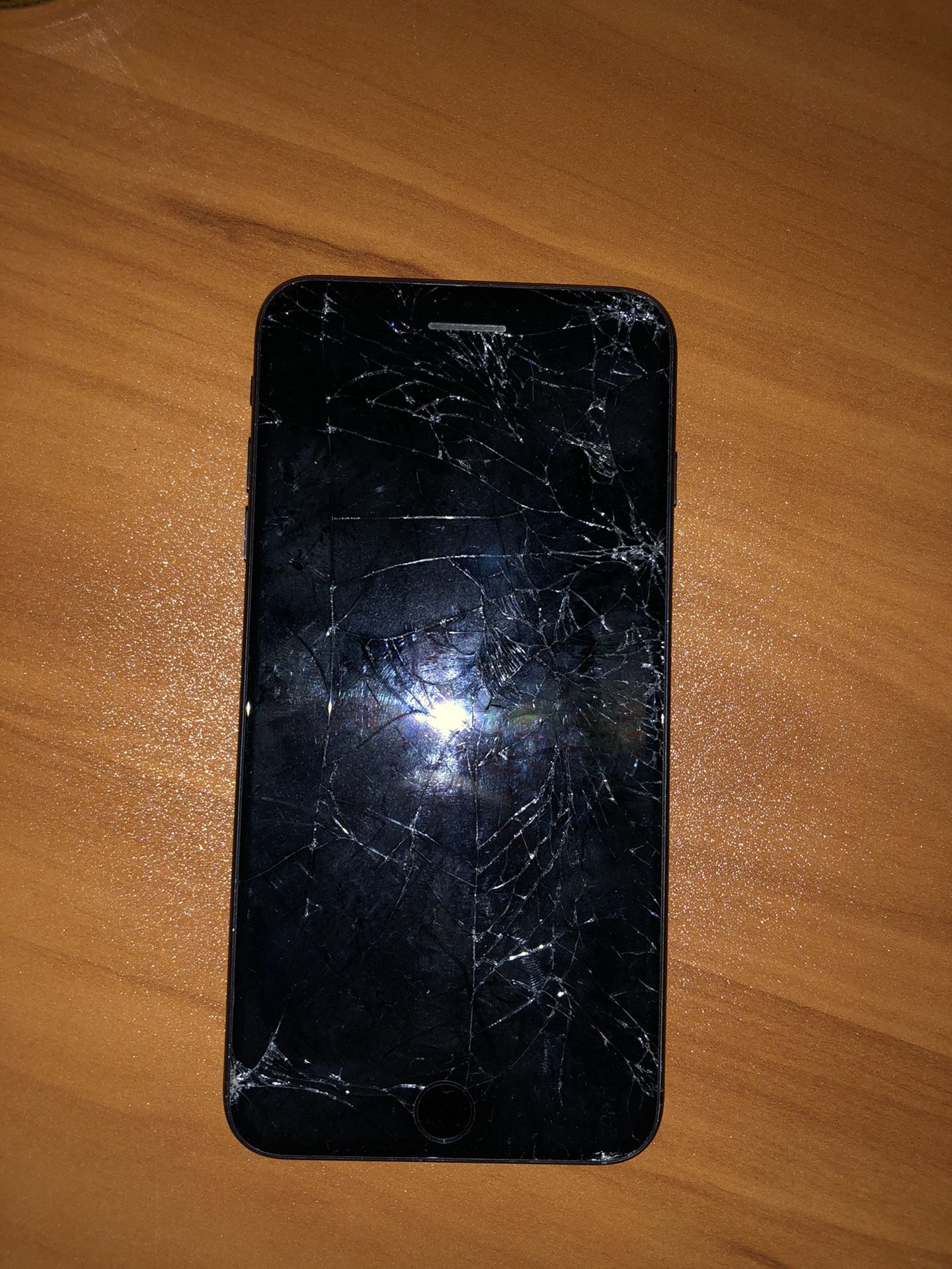 iPhone 7 Plus Pieces